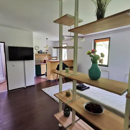 Studio Apartment Azuga